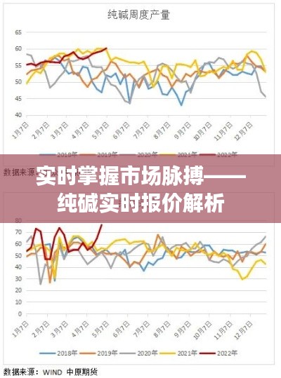 实时掌握市场脉搏——纯碱实时报价解析