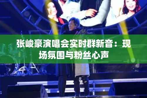 张峻豪演唱会实时群新音：现场氛围与粉丝心声