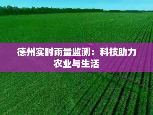 飞奇钩货 第6页