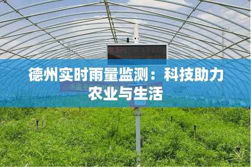 德州实时雨量监测:科技助力农业与生活