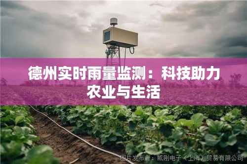 德州实时雨量监测:科技助力农业与生活
