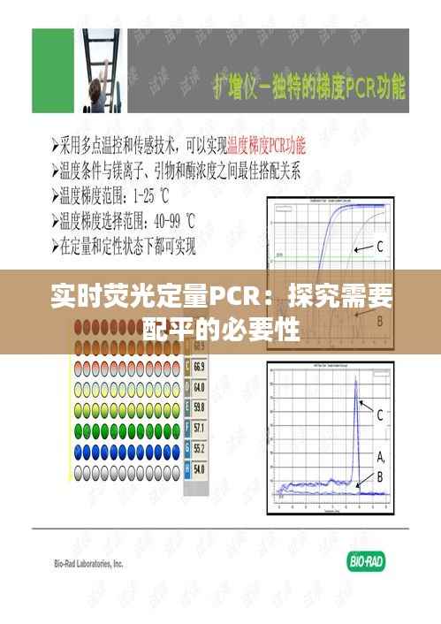 实时荧光定量PCR：探究需要配平的必要性