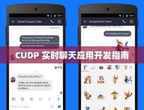 CUDP 实时聊天应用开发指南