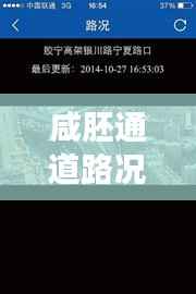 咸胚通道路况实时查询:智慧交通的未来趋势