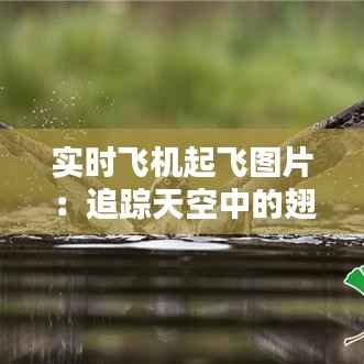 实时飞机起飞图片:追踪天空中的翅膀
