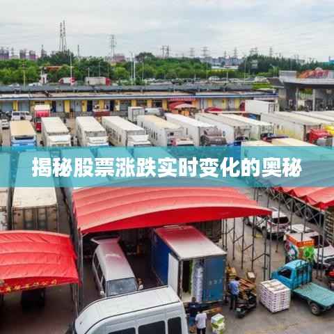 揭秘股票涨跌实时变化的奥秘