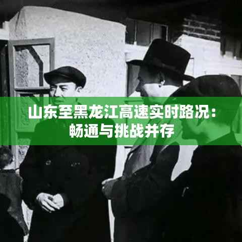 山东至黑龙江高速实时路况：畅通与挑战并存