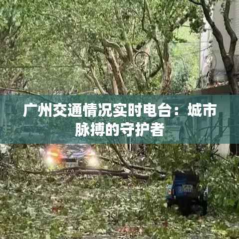 广州交通情况实时电台:城市脉搏的守护者