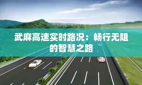 武麻高速实时路况:畅行无阻的智慧之路