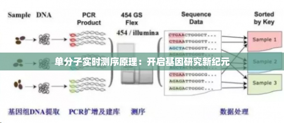 单分子实时测序原理:开启基因研究新纪元