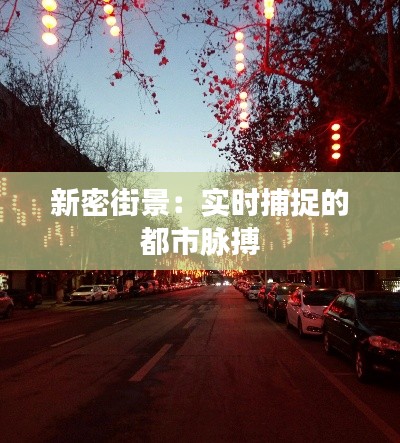 新密街景:实时捕捉的都市脉搏