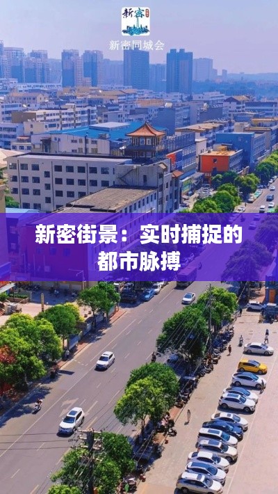 新密街景:实时捕捉的都市脉搏