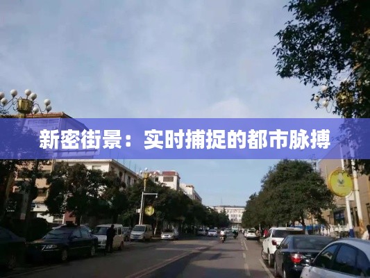 新密街景:实时捕捉的都市脉搏