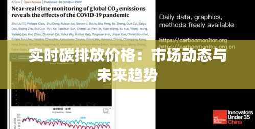 实时碳排放价格:市场动态与未来趋势