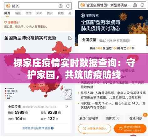 禄家庄疫情实时数据查询：守护家园，共筑防疫防线