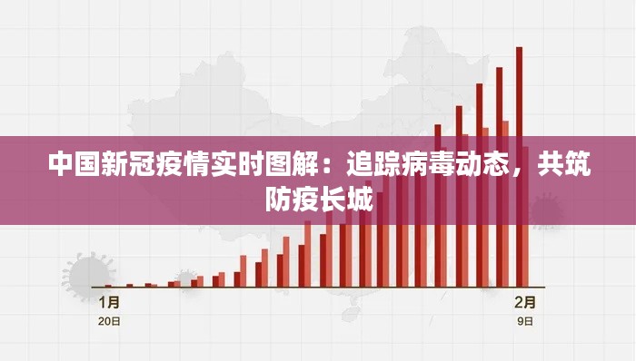 中国新冠疫情实时图解:追踪病毒动态,共筑防疫长城