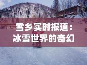 雪乡实时报道：冰雪世界的奇幻之旅