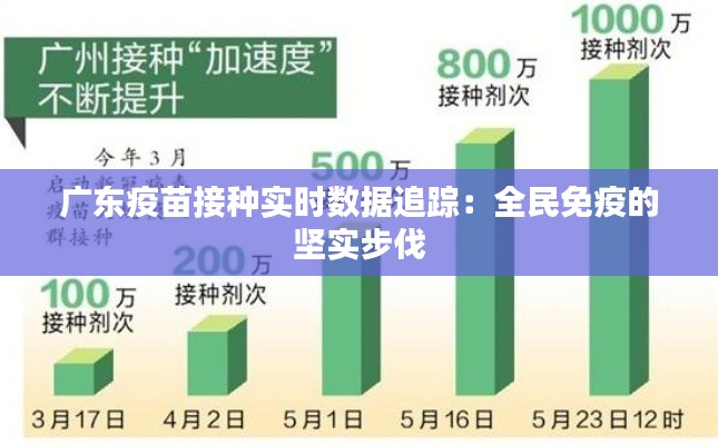 广东疫苗接种实时数据追踪：全民免疫的坚实步伐
