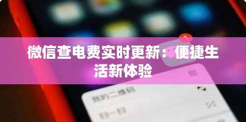 微信查电费实时更新:便捷生活新体验