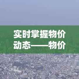 实时掌握物价动态——物价指数实时行情查询指南
