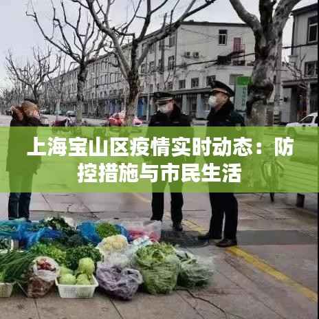 上海宝山区疫情实时动态:防控措施与市民生活