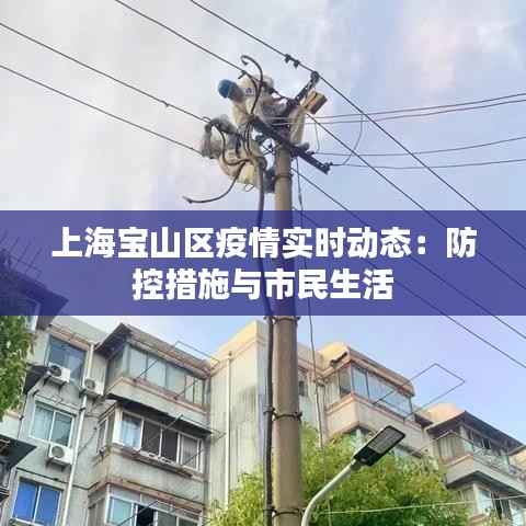 上海宝山区疫情实时动态:防控措施与市民生活