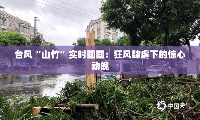 台风“山竹”实时画面:狂风肆虐下的惊心动魄