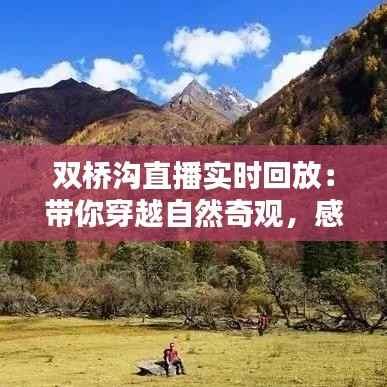 双桥沟直播实时回放:带你穿越自然奇观,感受生态之美