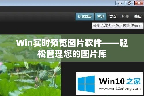 Win实时预览图片软件——轻松管理您的图片库