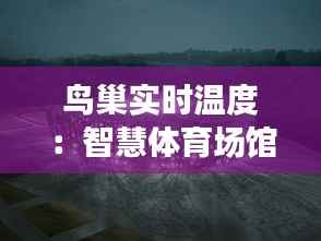 鸟巢实时温度:智慧体育场馆的温度管理革命