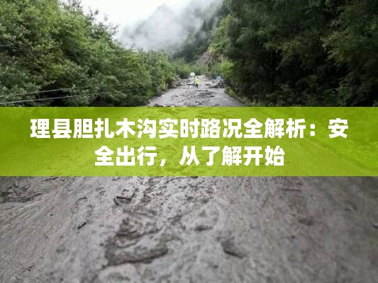 理县胆扎木沟实时路况全解析:安全出行,从了解开始