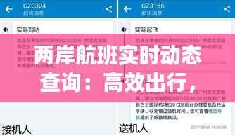 两岸航班实时动态查询:高效出行,尽在掌握