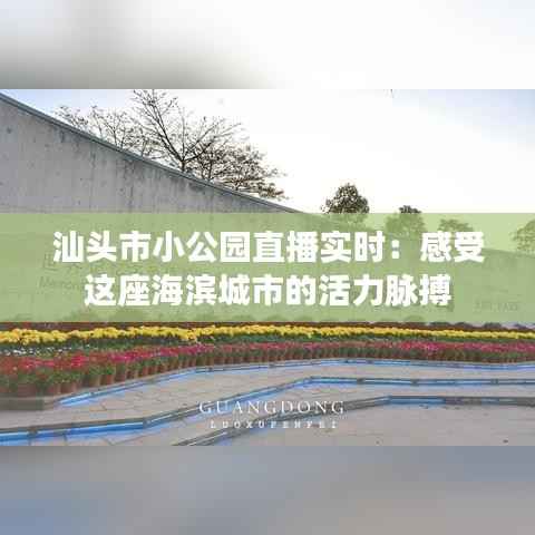 汕头市小公园直播实时:感受这座海滨城市的活力脉搏