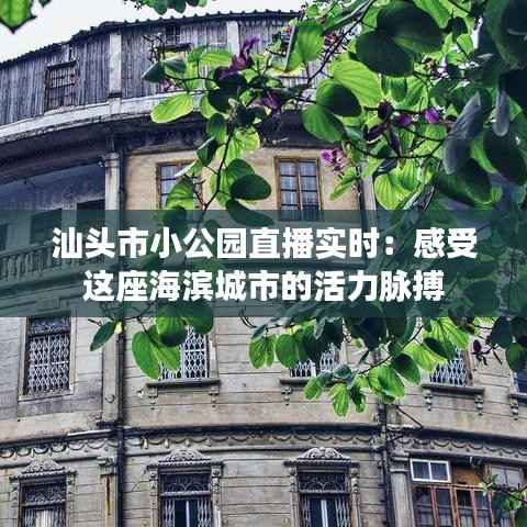 汕头市小公园直播实时:感受这座海滨城市的活力脉搏