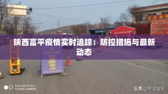 陕西富平疫情实时追踪：防控措施与最新动态