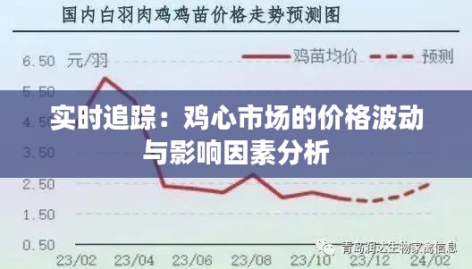 实时追踪:鸡心市场的价格波动与影响因素分析