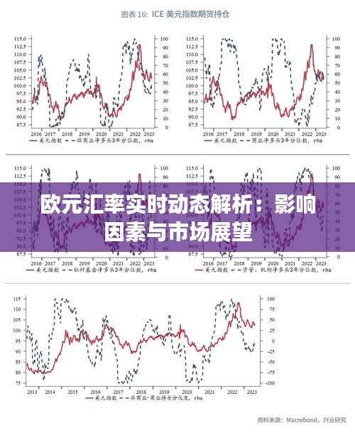 欧元汇率实时动态解析:影响因素与市场展望