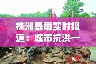株洲暴雨实时报道:城市抗洪一线的坚守与温情