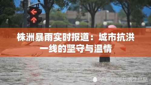 株洲暴雨实时报道:城市抗洪一线的坚守与温情