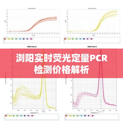浏阳实时荧光定量PCR检测价格解析