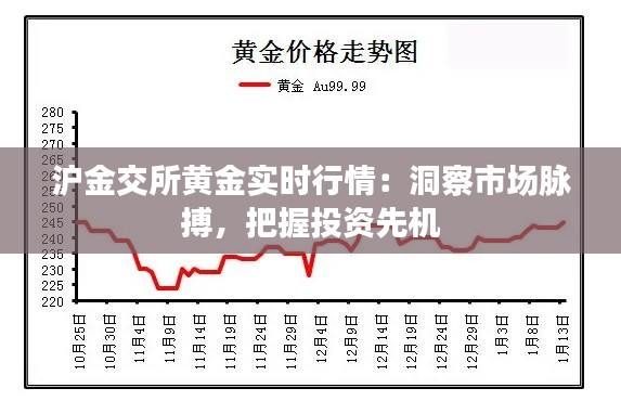 沪金交所黄金实时行情：洞察市场脉搏，把握投资先机
