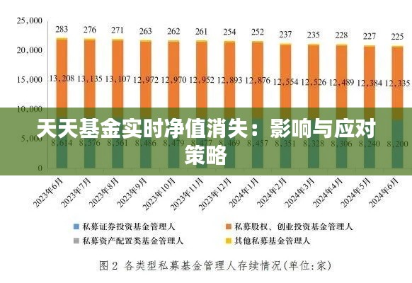 天天基金实时净值消失:影响与应对策略