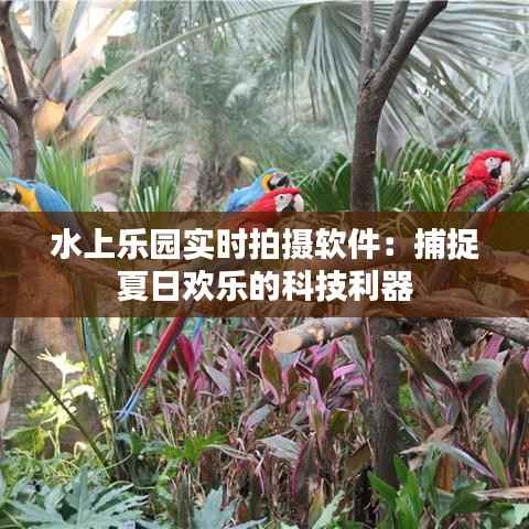 水上乐园实时拍摄软件:捕捉夏日欢乐的科技利器