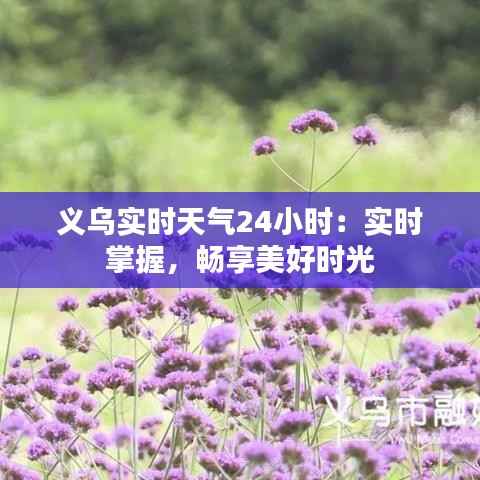 义乌实时天气24小时:实时掌握,畅享美好时光