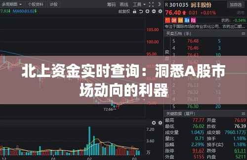 北上资金实时查询：洞悉A股市场动向的利器
