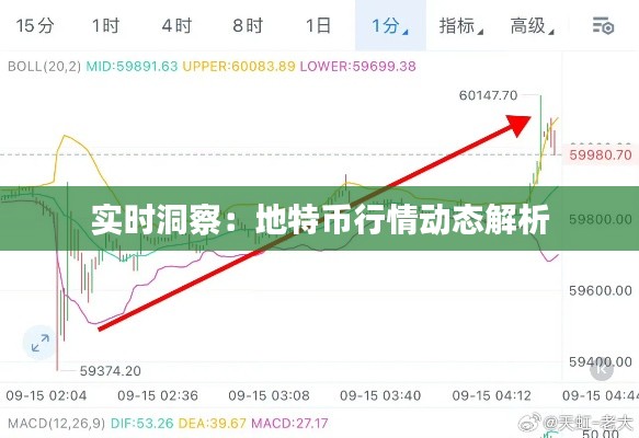 实时洞察：地特币行情动态解析