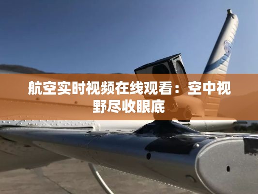 航空实时视频在线观看:空中视野尽收眼底