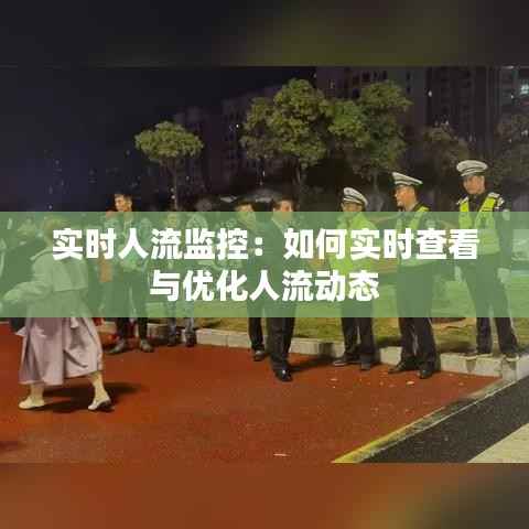 实时人流监控:如何实时查看与优化人流动态
