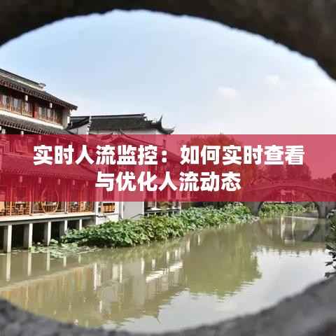 实时人流监控:如何实时查看与优化人流动态