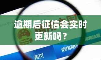 逾期后征信会实时更新吗?